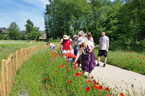 Die Exkursionsteilnehmer bestimmen Pflanzen am Wegesrand.