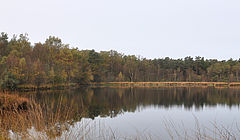 Im Witte Venn / Witte Veen funktioniert der Naturschutz grenzübergreifend