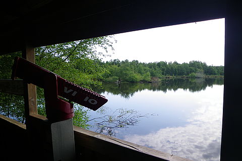 Blick aus einer der barrierefreien Aussichtskanzeln auf den Lachmöwensee