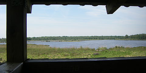 Blick aus dem Aussichtsturm über den See