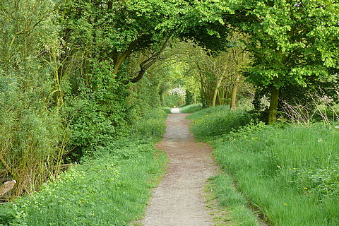 Weg am Rande der Berkel.