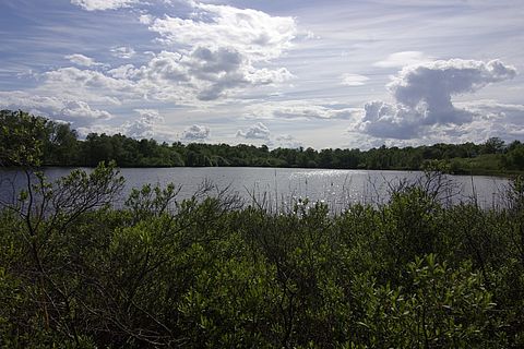 Das Bild zeigt, wie der Erdfallsee heute aussieht.